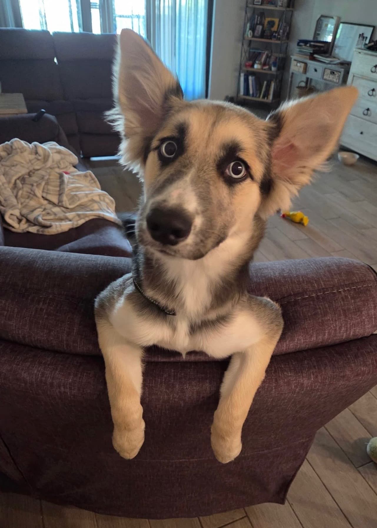Luna (now Athena)